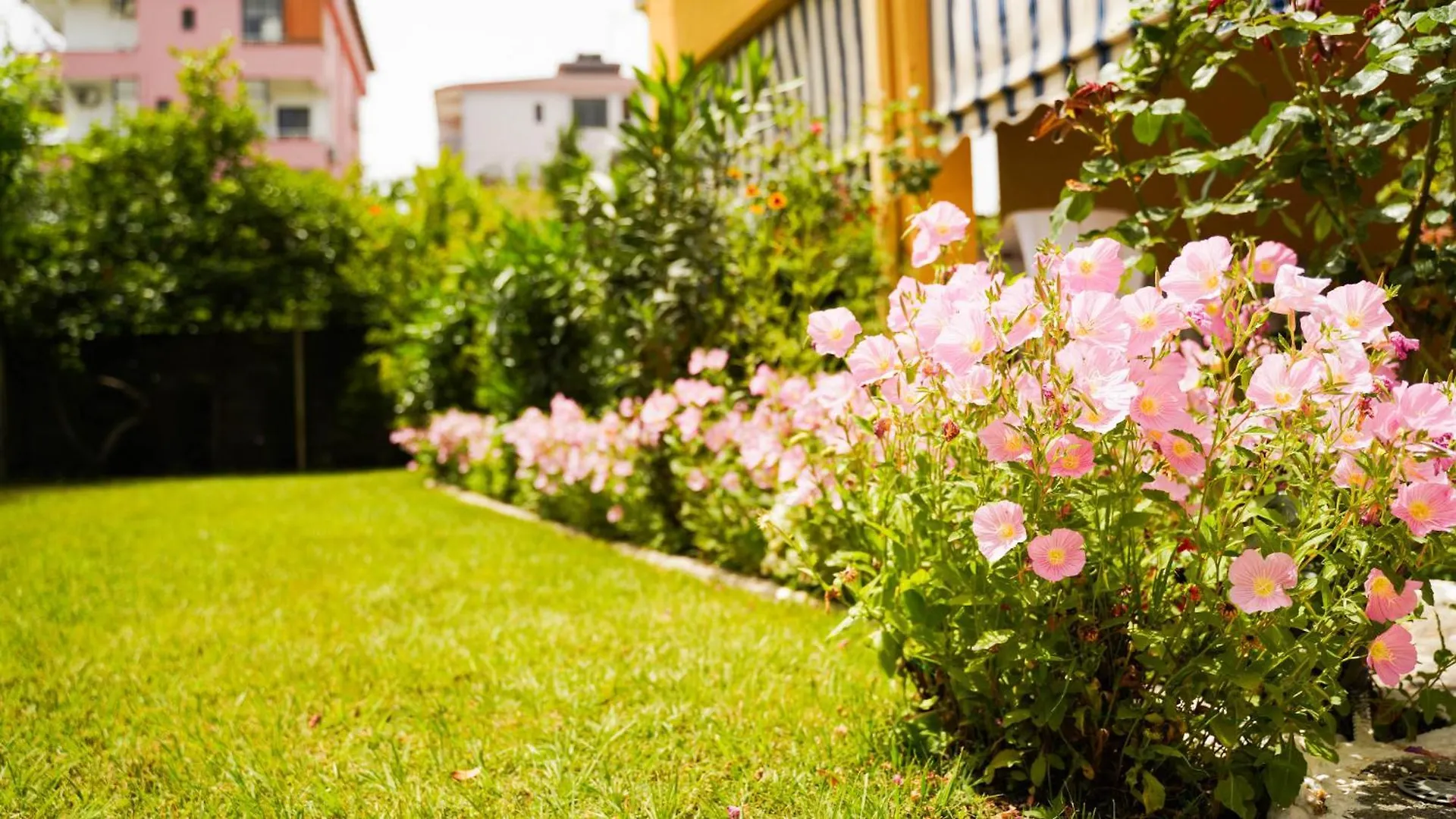Vila Aliaj Luxury Apartment With 2 Rooms With Private Wonderful Terrace Durrës